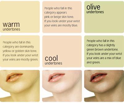 Makeup Skin Tone Chart