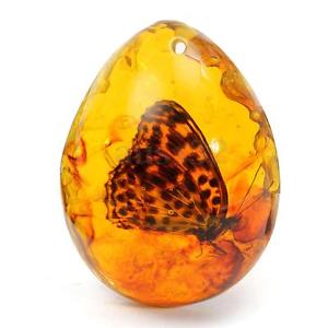 animals in amber