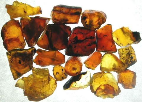 varieties of amber