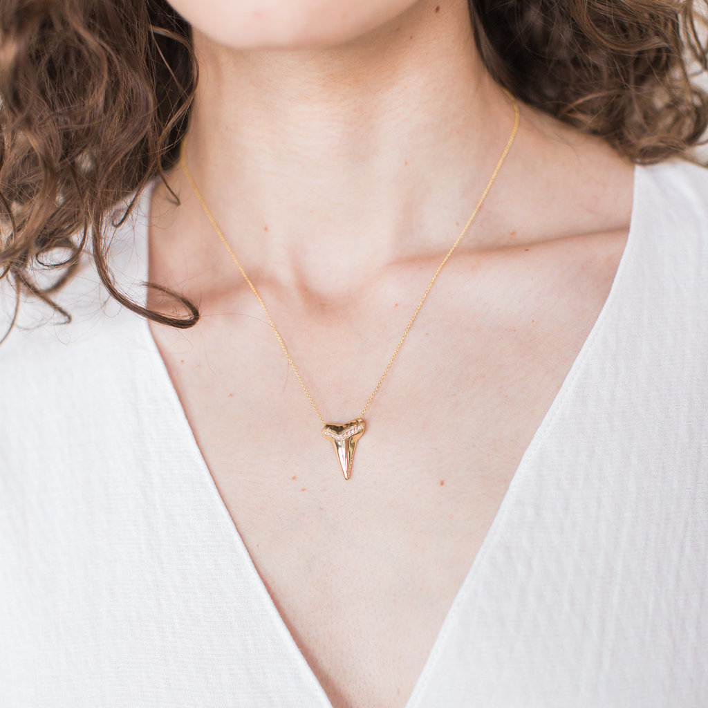Shark Tooth Necklaces: The Perfect Wild Accessory! | JewelryJealousy