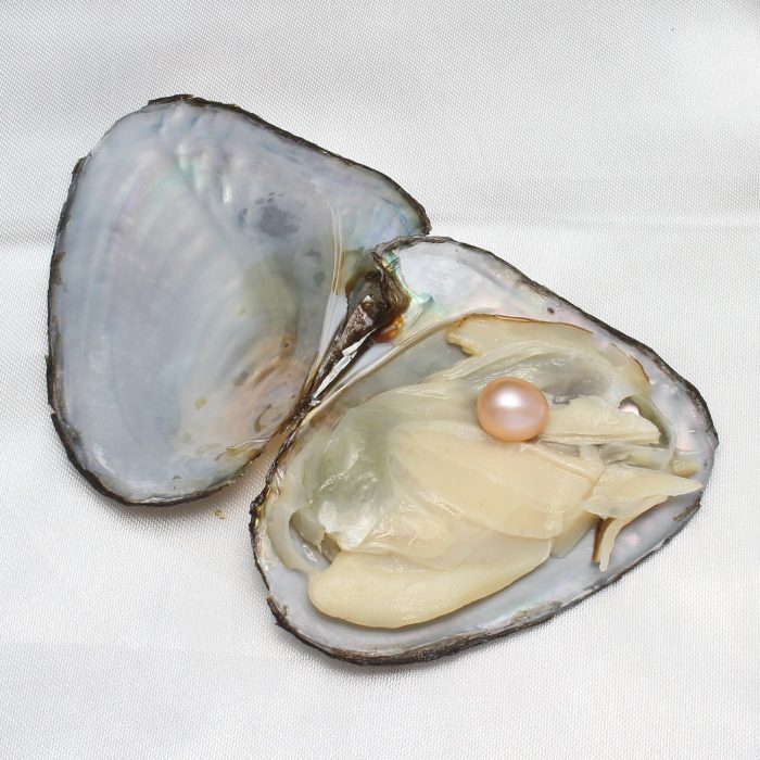 largest oyster pearl