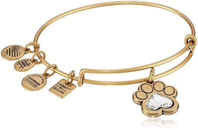 Alex and Ani “Charity By Design” Bracelet