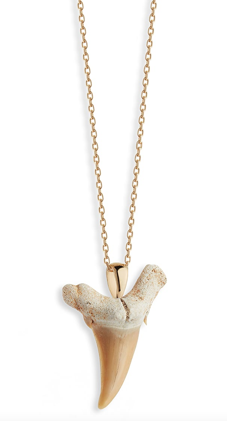 Shark Tooth Necklaces The Perfect Wild Accessory! JewelryJealousy