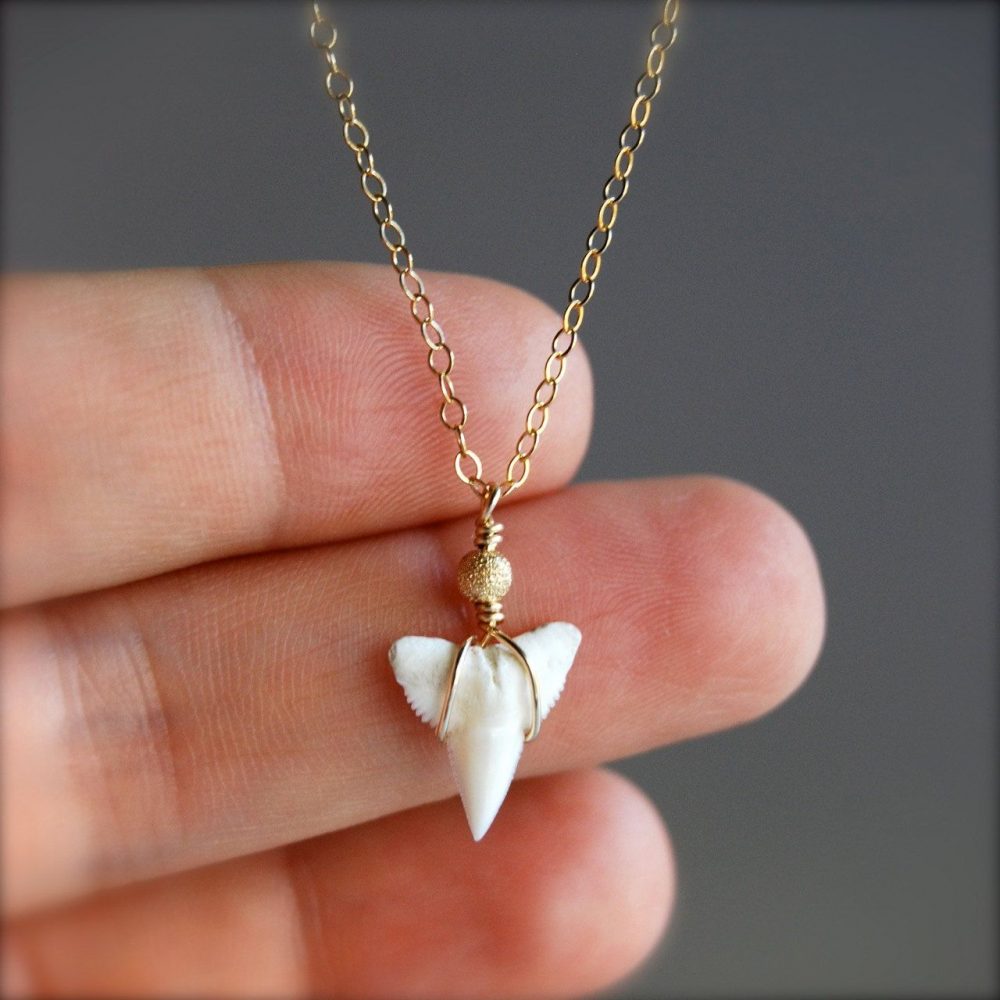 real shark tooth necklace