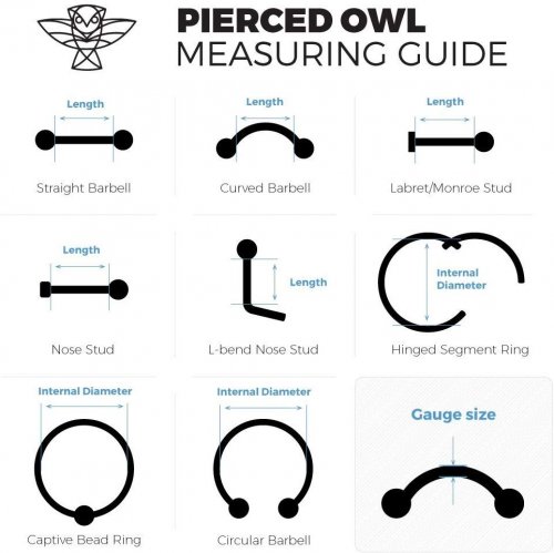 10 Best Bull Nose Ring Picks You Can Have! | JewelryJealousy