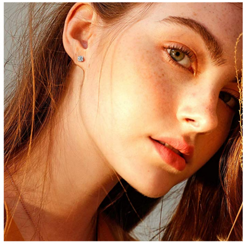 FANCIME Moissanite Stud Earrings on Model