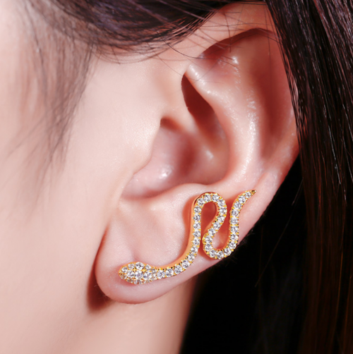 Jeulia Snake Design Earrings