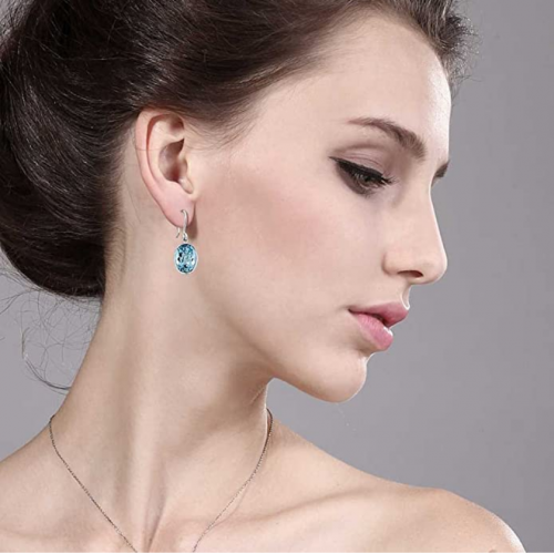 Gem Stone King Blue Topaz Earrings