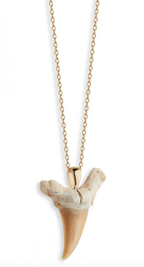 Mateo 14k Gold Shark Tooth Necklace