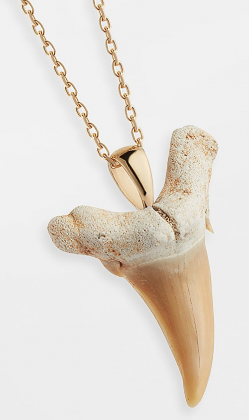 Mateo 14k Gold Shark Tooth Necklace