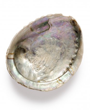 What is Mother of Pearl?