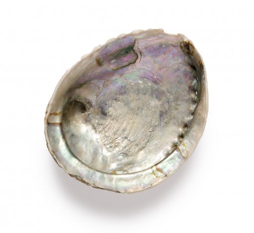 What is Mother of Pearl?