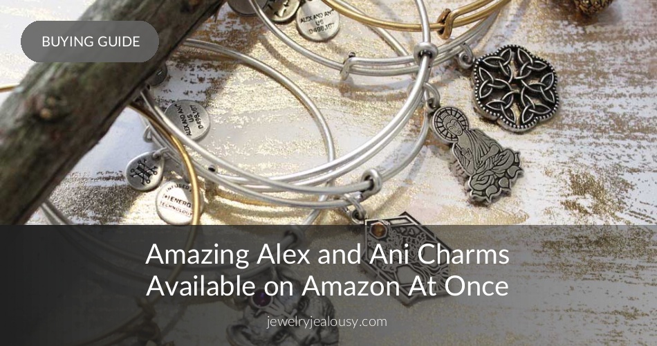 Amazing Alex and Ani Charms Available on Amazon! JewelryJealousy